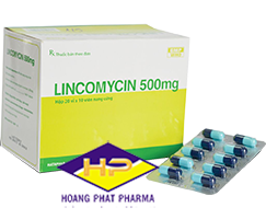LINCOMYCIN 500MG